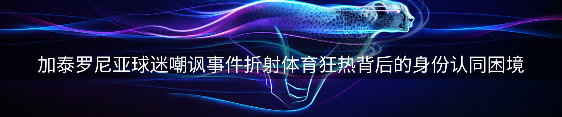 内页banner